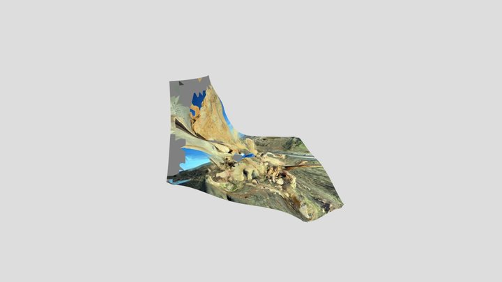 rocks 3D Model