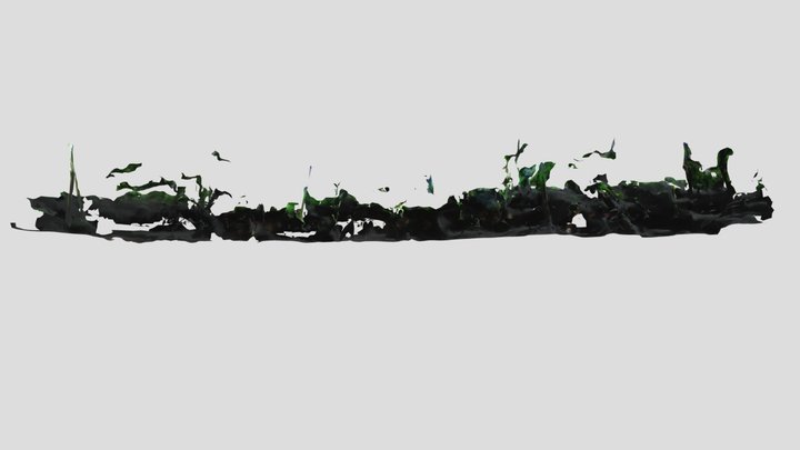085-086 3D Model