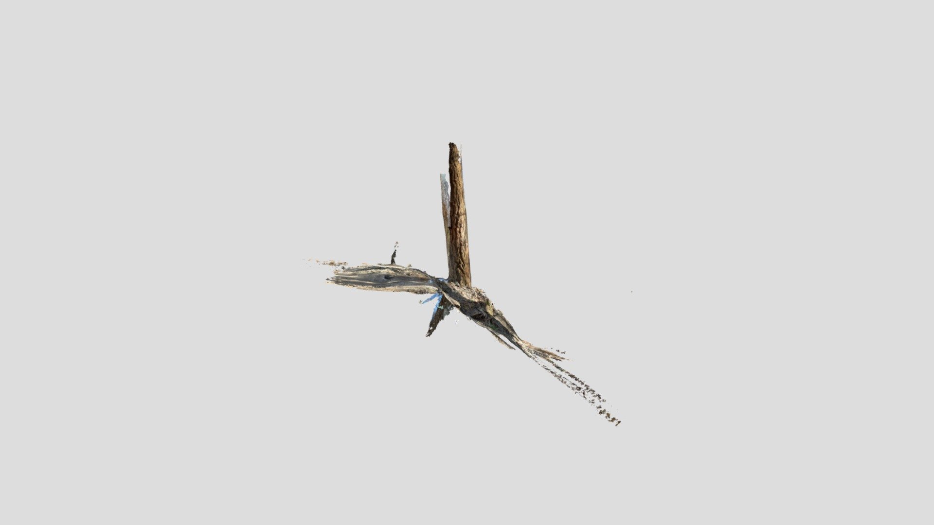 Untitled Scan
