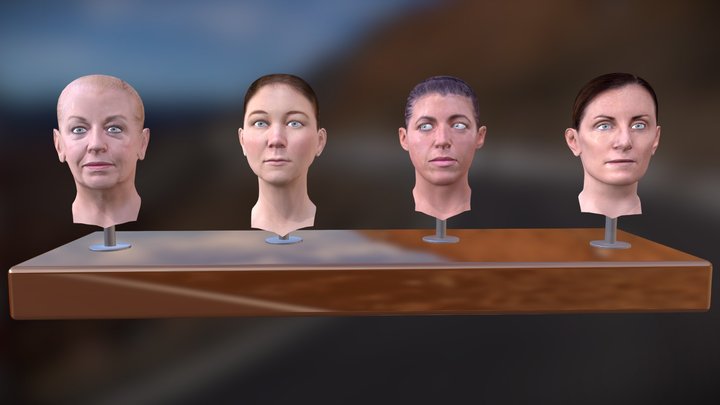 Character Busts 3D Model
