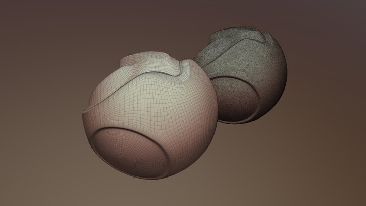 Retoplogy Exercise 3D Model