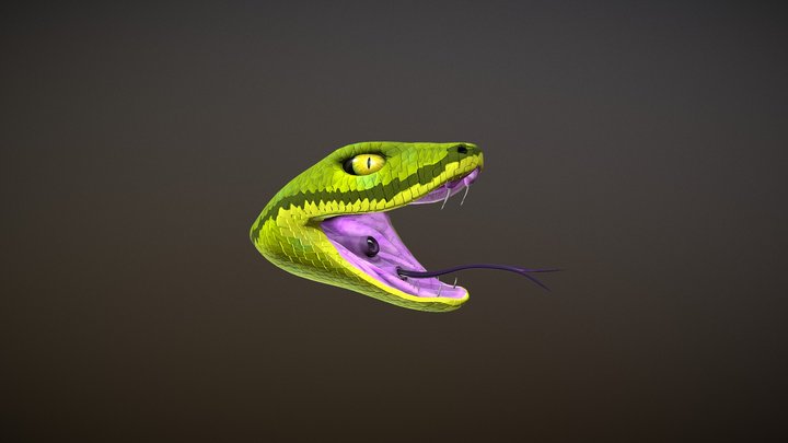 Green Snake Head 3D Model