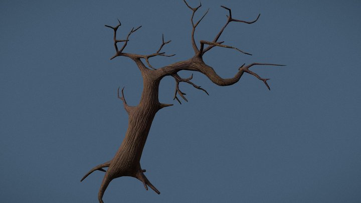 Creepy tree 3D Model
