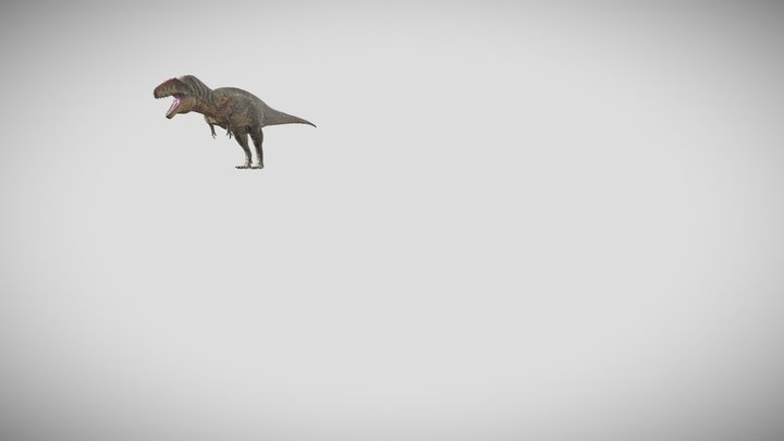 acro 3D Model