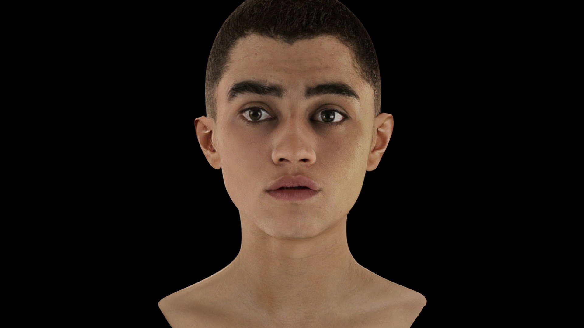 Human Dignity Collection | www.acuteline.com - Download Free 3D model ...