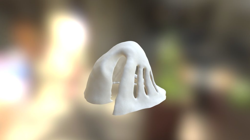 CONCHA OFICIAL - 3D model by carolinaalimaa [6160f9c] - Sketchfab