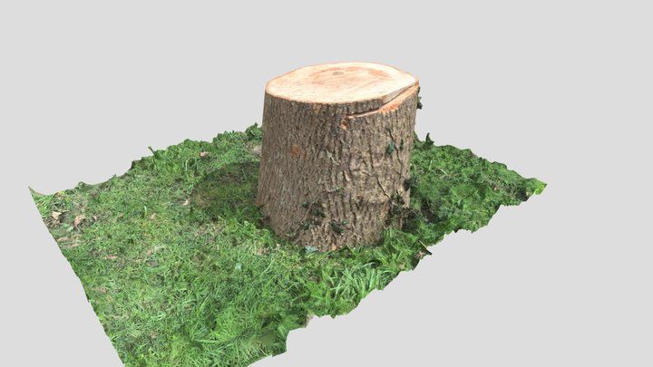 Tree Stump – Free 3D Model STL