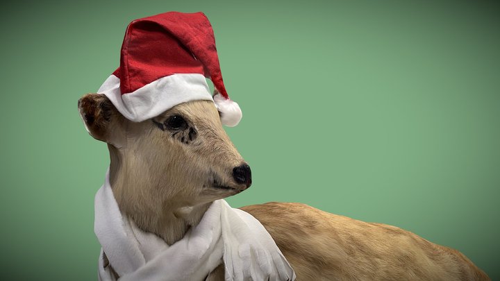 カモシカのクリスマス　2025 3D Model