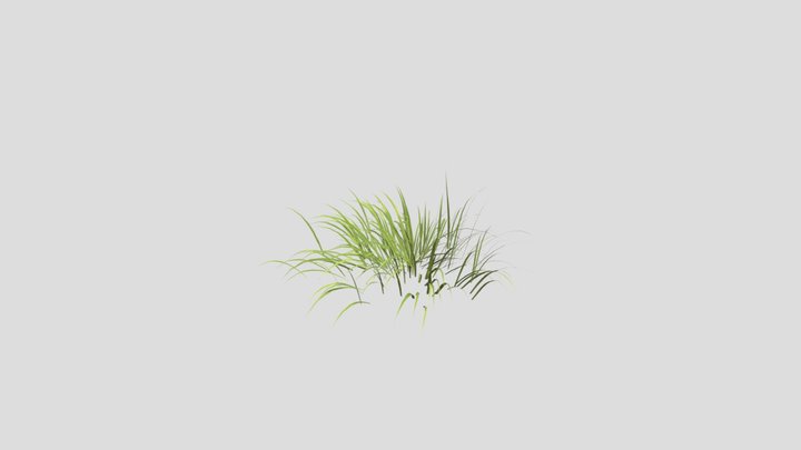Animated_grass_-_vegetation 3D Model