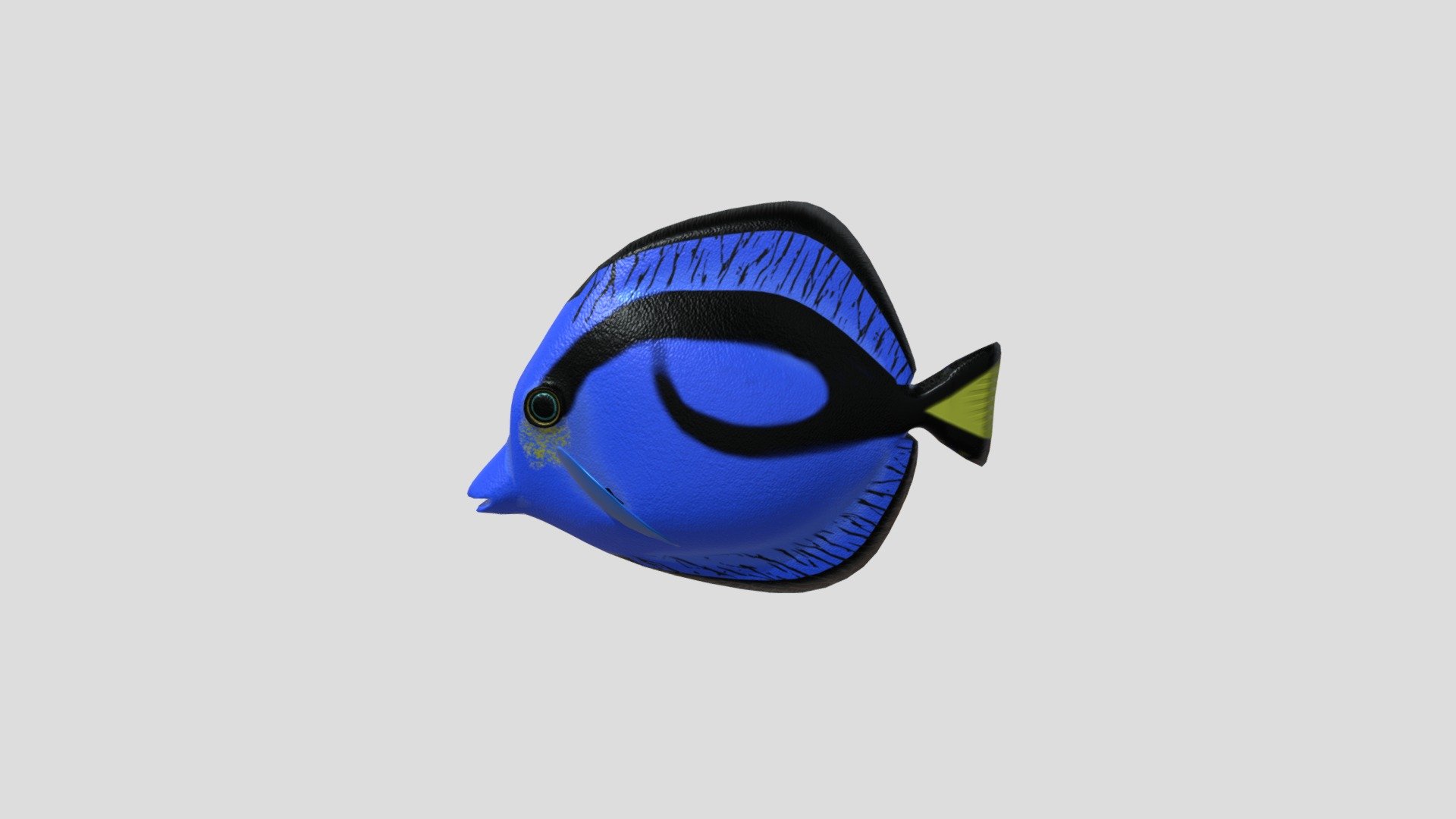 Hilton FISH