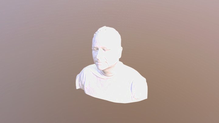 Vacek 3D Model
