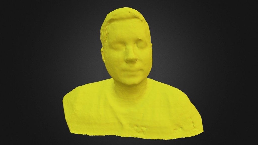 J. Biggs Bust Scan of a 3D Printed Replica