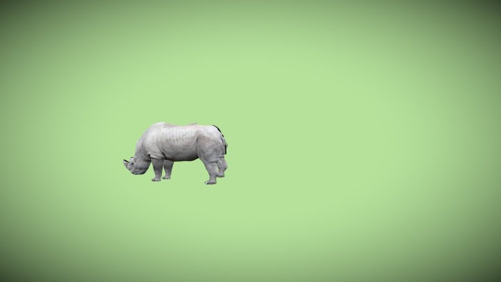 3d Rhino 3D Model