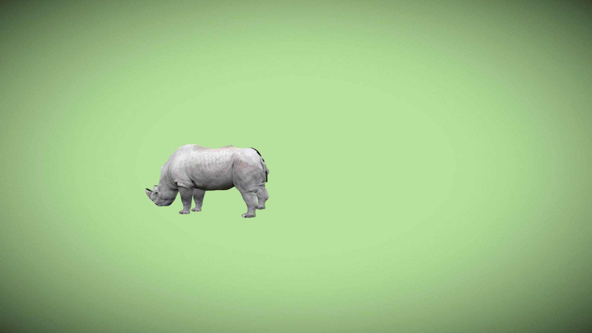 3d Rhino