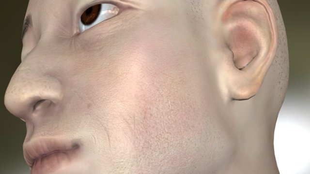 Zbrush asian head 3D Model