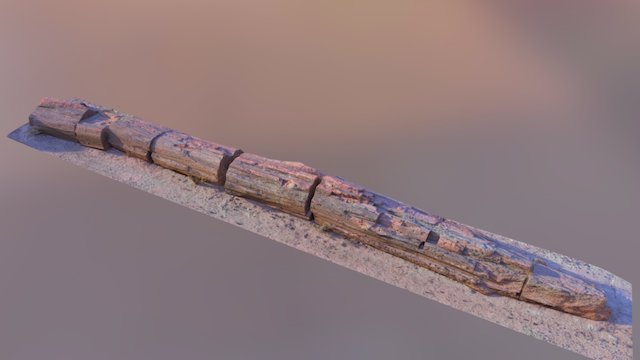Treesketch 3D Model