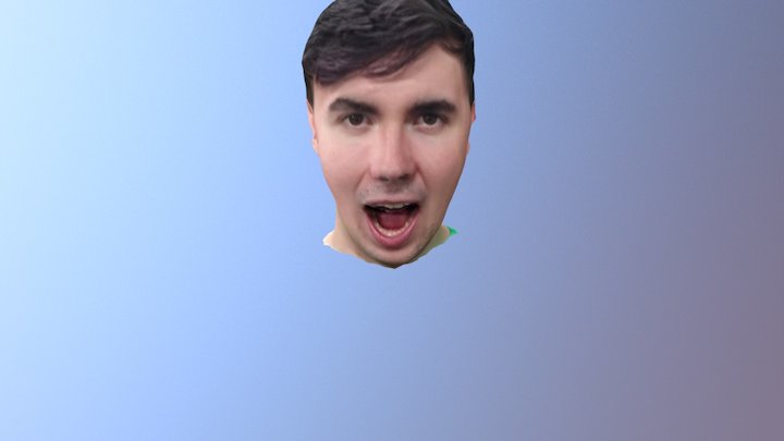 Matt screaming 3D Model