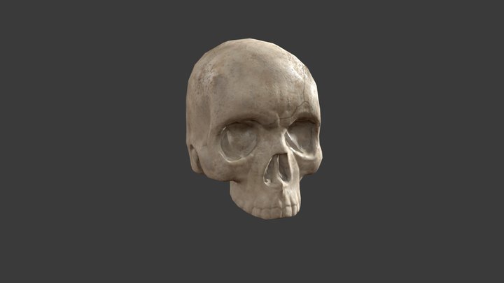 Skull game asset I made 3D Model