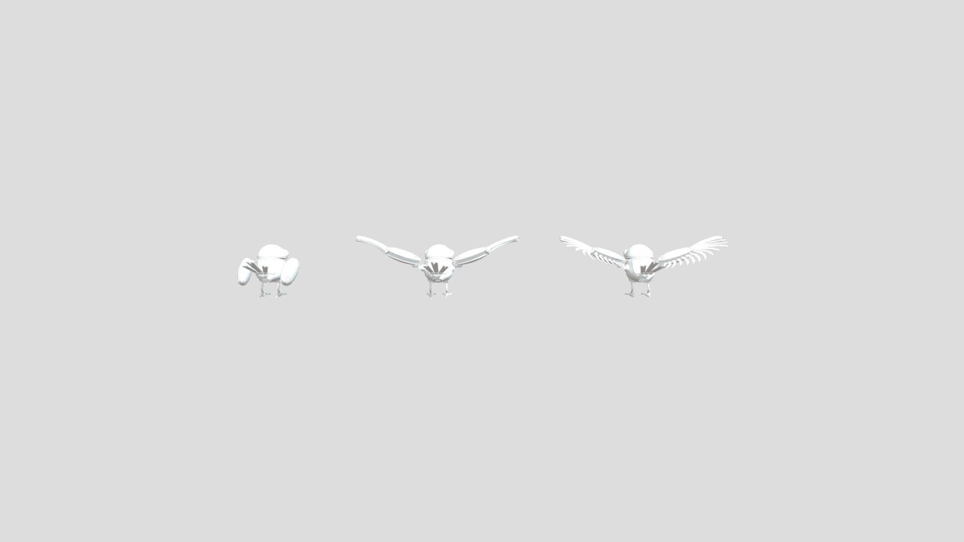 5-29 bird 2