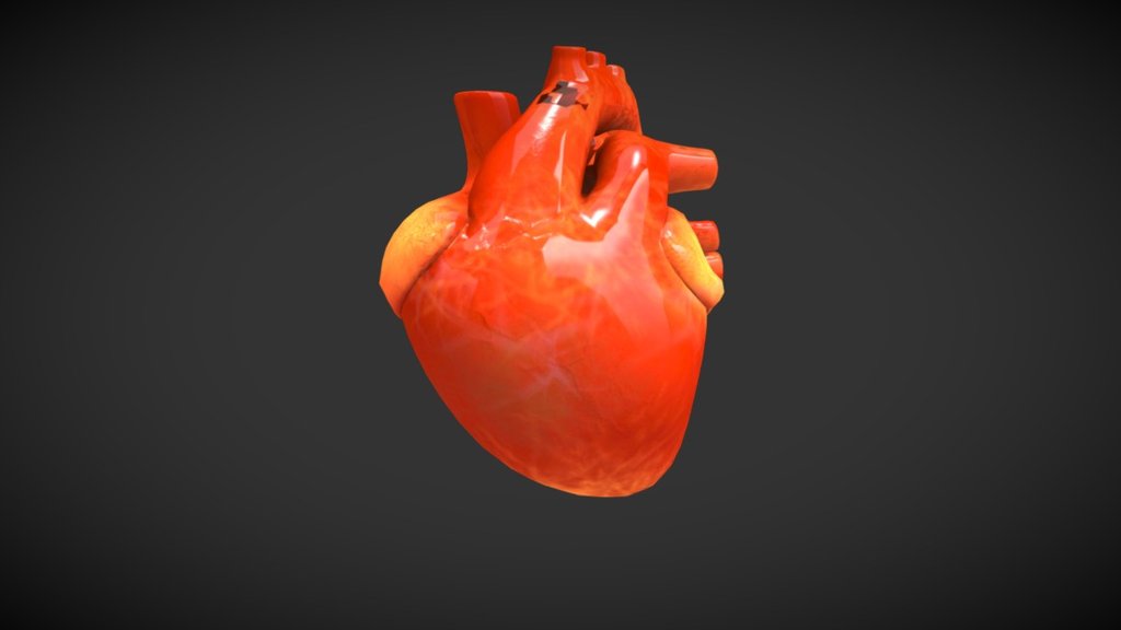 CORAZON - 3D model by Jorge W. Macias V. (@jorgewmaciasv.) [6196b02 ...