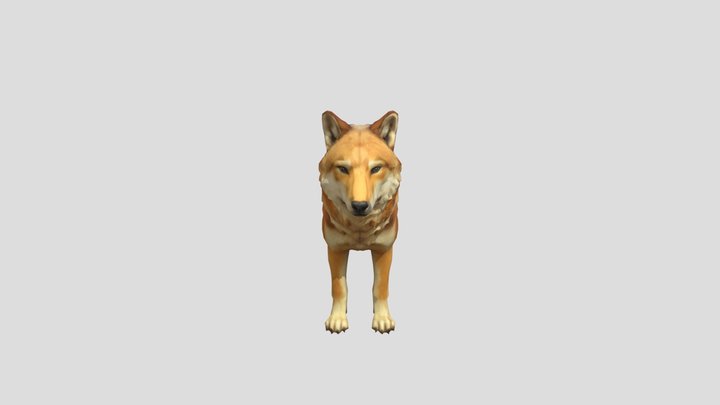 Wolf v3 - Red