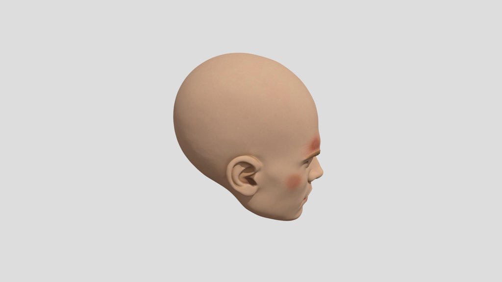 Human Head by Tripo