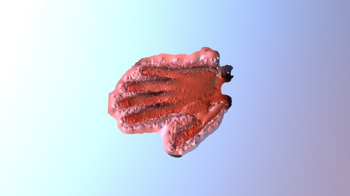 Hand 3D scanning 3D Model