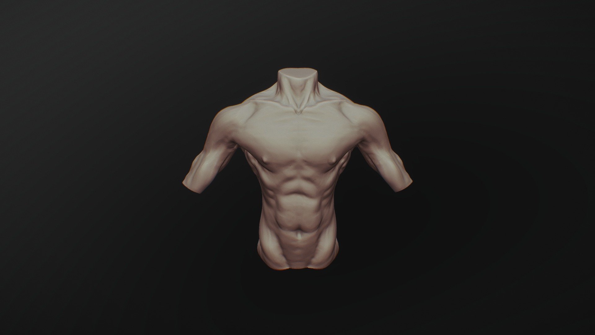 Torso Study - Download Free 3D model by efshaq [619ea76] - Sketchfab