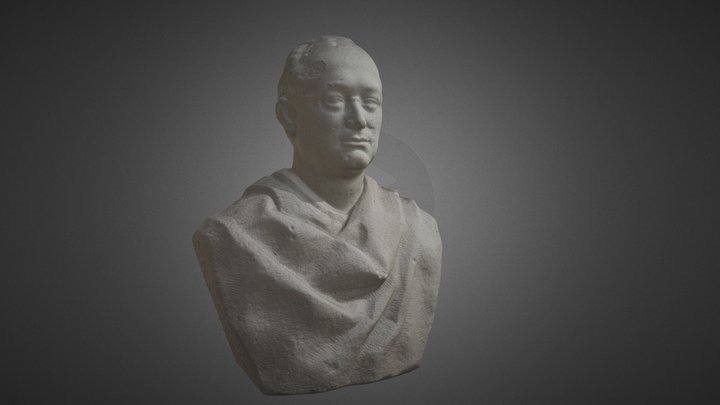 Busto piedra 3D Model
