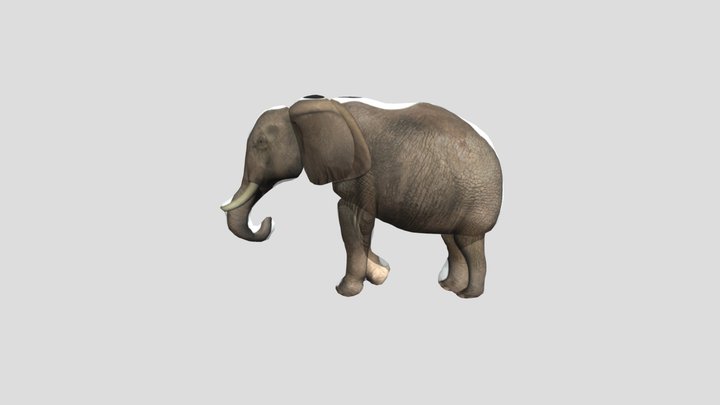Elph 3D Model