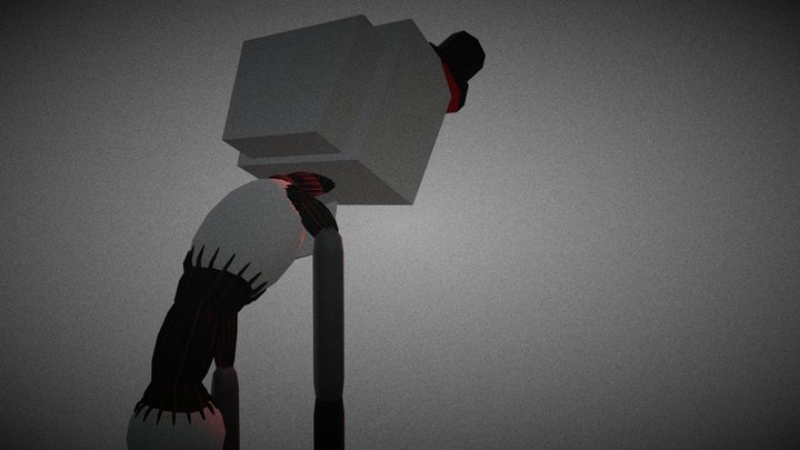 Twisted Veil 3D Model