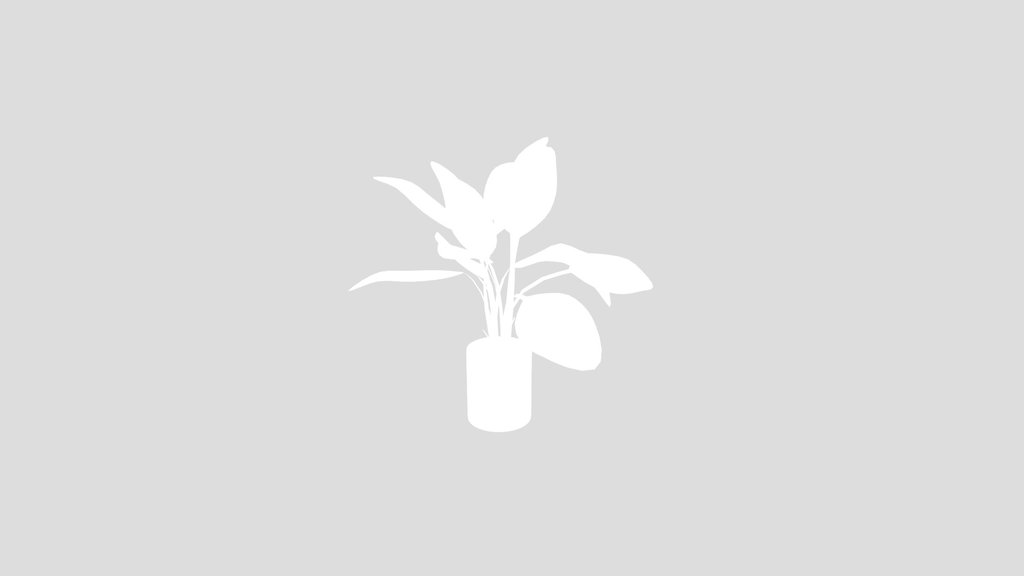 Plant Bird Of Paradise