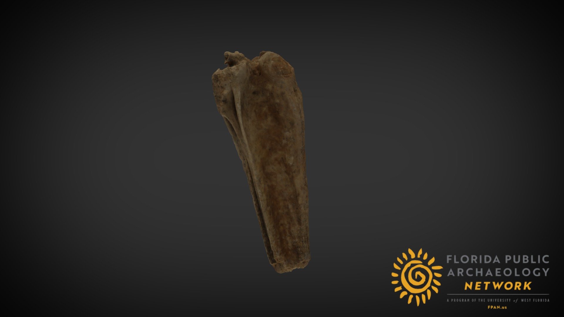 Handcut Mammal Bone