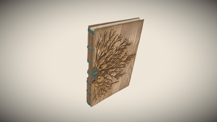 Josée Dessureault - Iceland 2025 3D Model