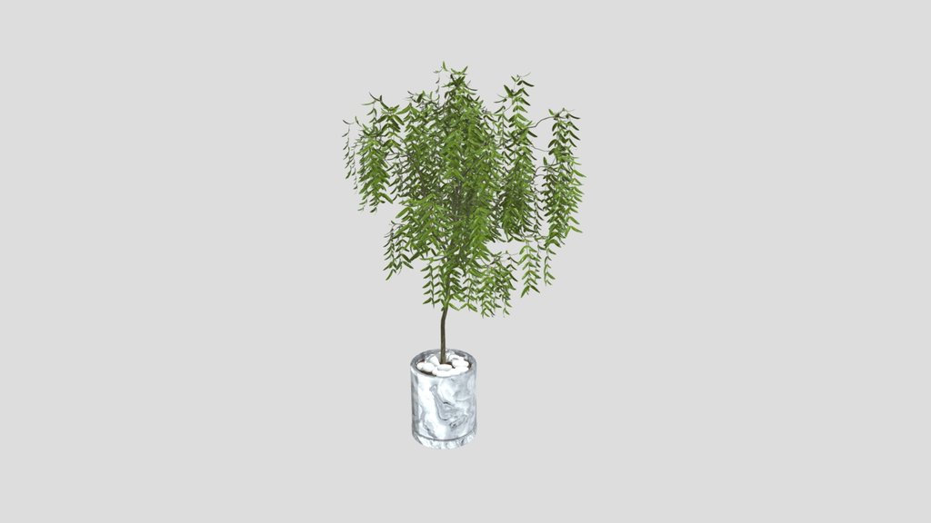 Potted Tree