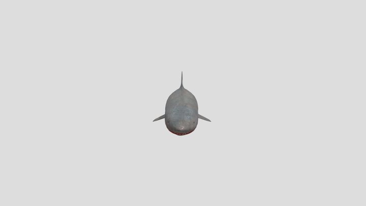Bloody Bull Shark Animated – Modelo 3D gratuito STL