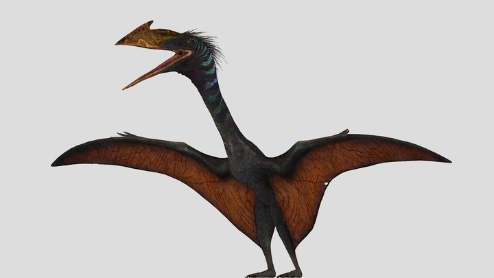 Quetzalcoatlus – Gratis 3D-model STL