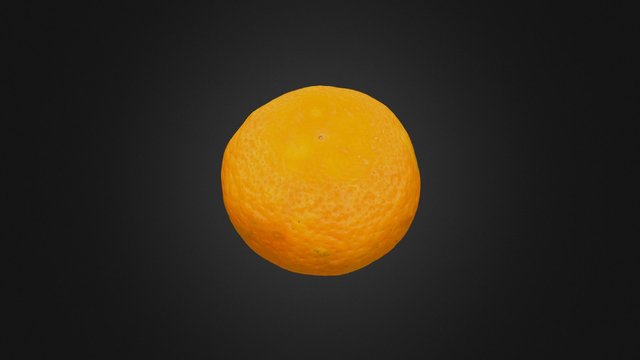 Orange T1 3D Model