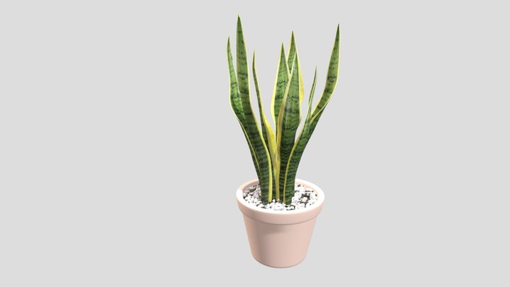 snake flower 3D Model
