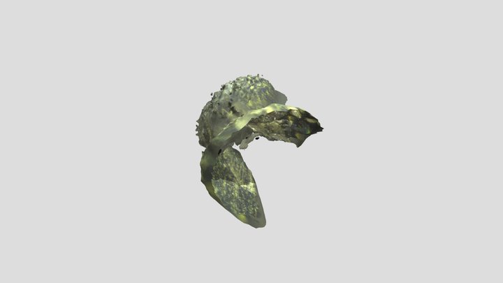 ?? 3D Model