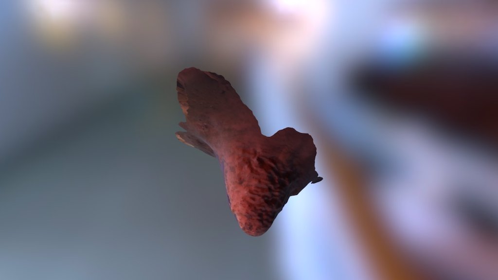 A TRNIO Model