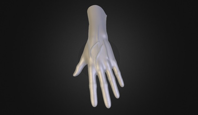 Left Hand 3D Model