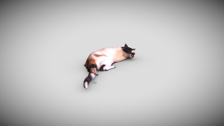 Lili 3D Model