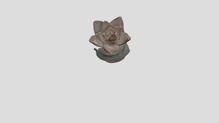 Diffused Rose 2 3D Model