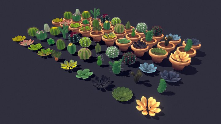 Succulent Plant Pack 02 3D Model