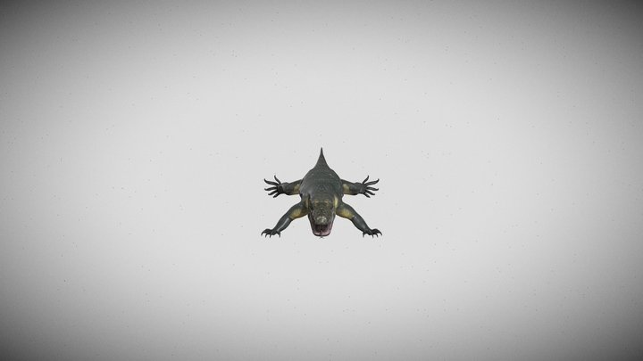 Monitor_ Lizard 3D Model