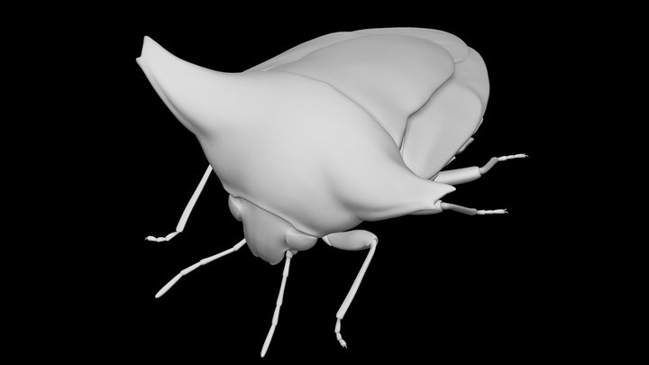 Alcimocoris Japonensis – Kostenloses 3D-Modell STL