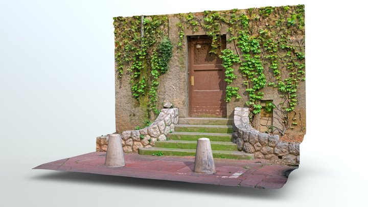 Vine Door (CG Ready) 3D Model