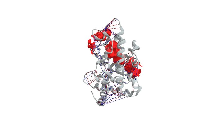 Hcar 3D Model