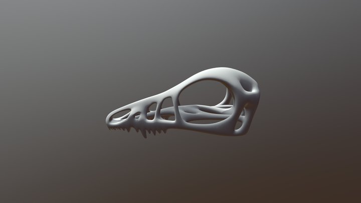 Microraptor Skull 3D Model
